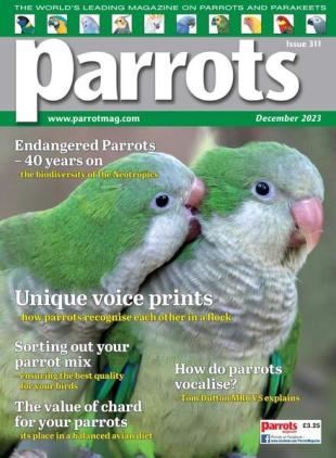 Parrots - December 2023