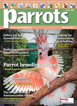Parrots - March 2025