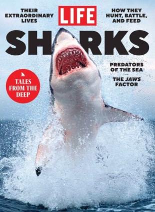 LIFE - Sharks 2025