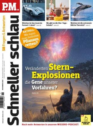 PM Schneller Schlau - November 2025