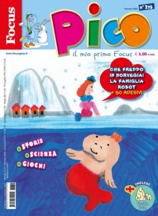 Focus Pico - Gennaio 2026
