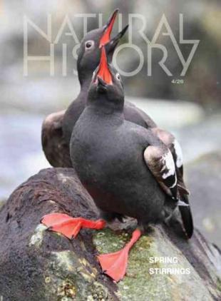 Natural History - April 2026