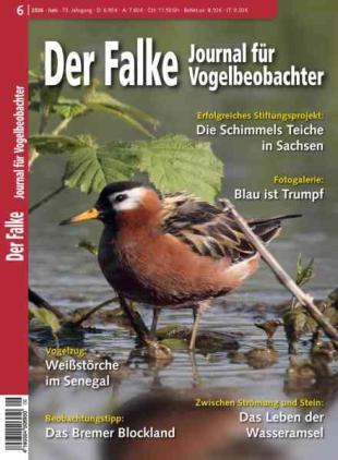 Der Falke Journal fur Vogelbeobachter - Juni 2026