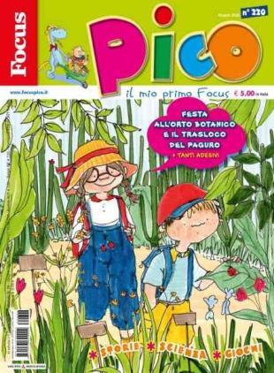 Focus Pico - 6 Giugno 2026