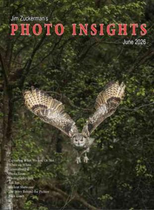 Photo Insights - June 2026