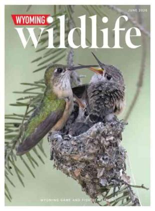 Wyoming Wildlife - June 2026