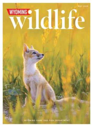 Wyoming Wildlife - May 2026