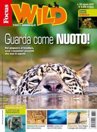 Focus Wild - Agosto 2026
