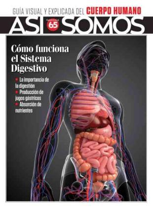 Asi Somos El cuerpo humano - Agosto 2026