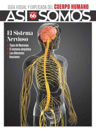 Asi Somos El cuerpo humano - Septiembre 2026