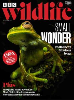 BBC Wildlife - October 2026