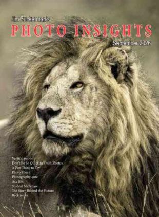 Photo Insights - September 2026