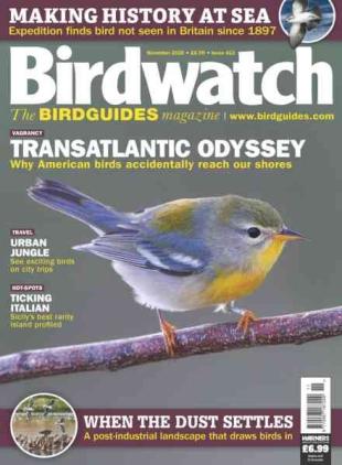 Birdwatch UK - November 2026