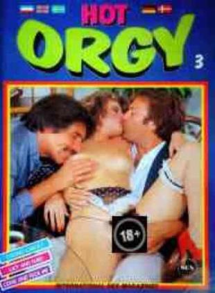 Hot Orgy - N 3
