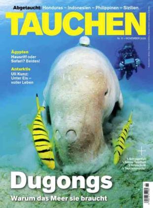 Tauchen - November 2026