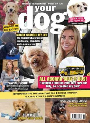 Your Dog - November 2026